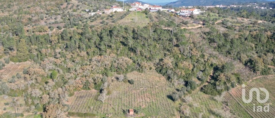 Terreno Agrícola em Podentes de 7 037 m²