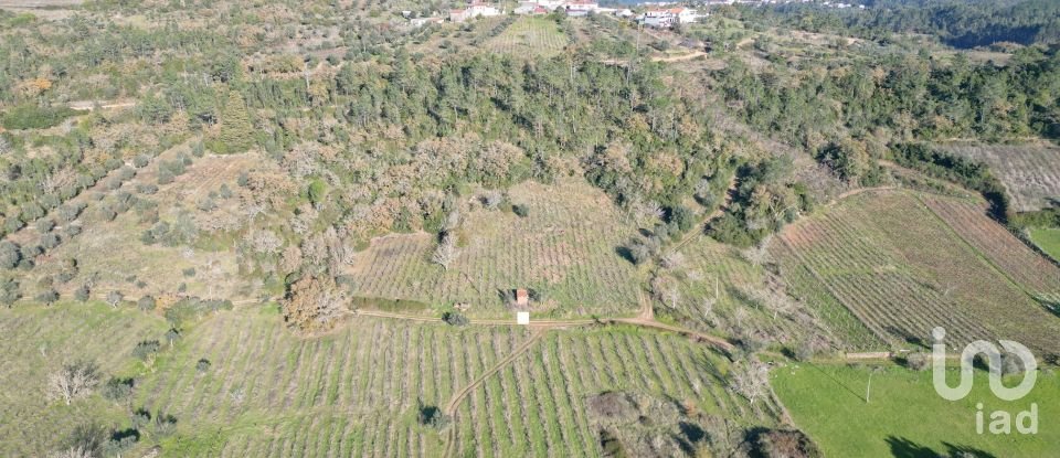 Terreno Agrícola em Podentes de 7 037 m²