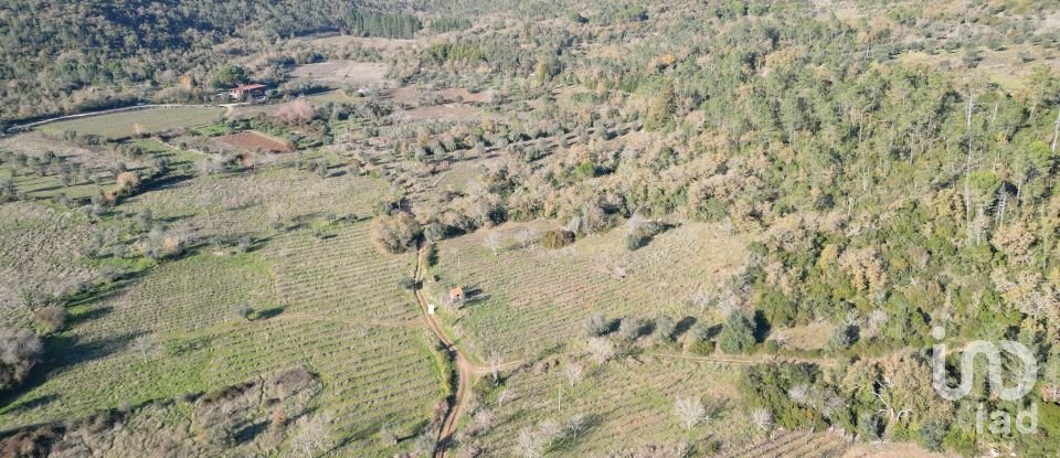 Terreno Agrícola em Podentes de 7 037 m²