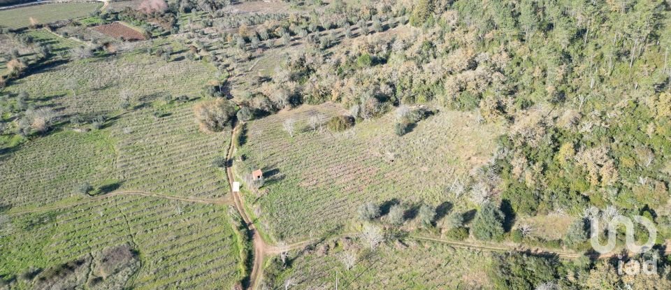 Terreno Agrícola em Podentes de 7 037 m²