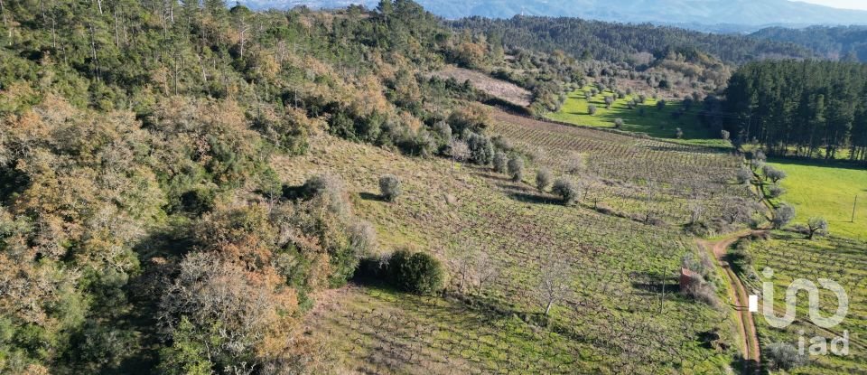 Terreno Agrícola em Podentes de 7 037 m²