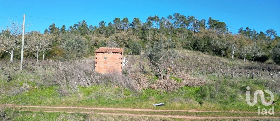 Terreno Agrícola em Podentes de 7 037 m²