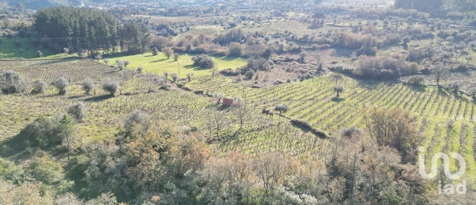 Terreno Agrícola em Podentes de 7 037 m²