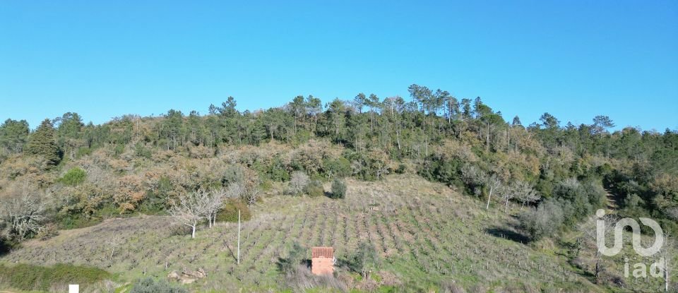 Terreno Agrícola em Podentes de 7 037 m²