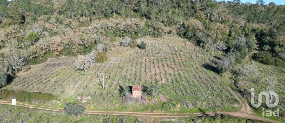 Terreno Agrícola em Podentes de 7 037 m²