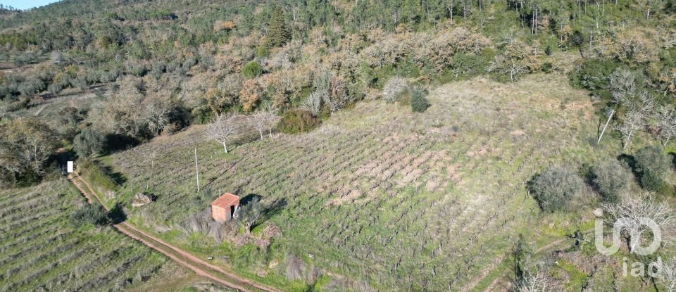 Terreno Agrícola em Podentes de 7 037 m²