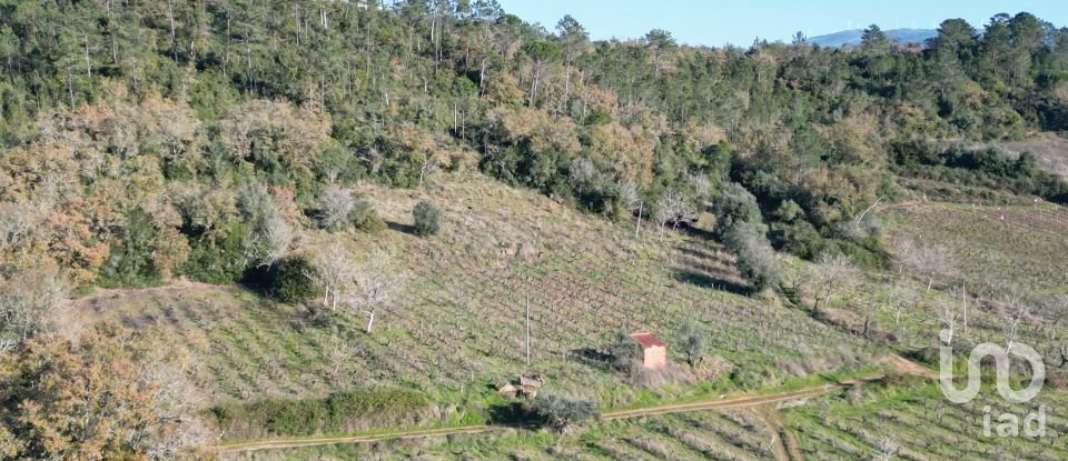 Terreno Agrícola em Podentes de 7 037 m²