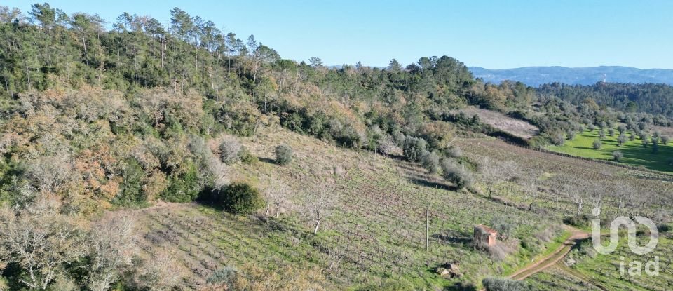 Terreno Agrícola em Podentes de 7 037 m²