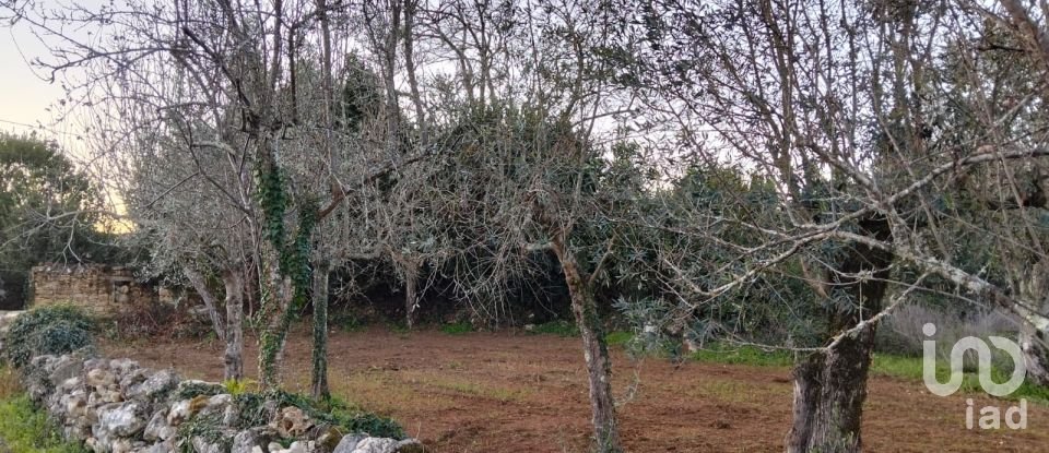 Terreno para construção em Chãos de 200 m²