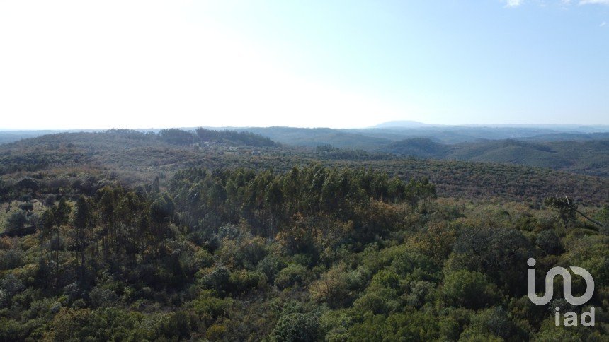 Terreno em Chãos de 5 380 m²