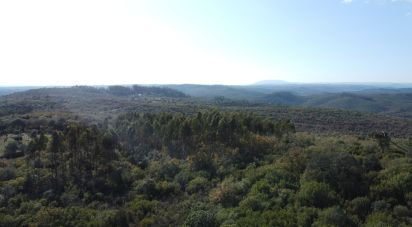 Terreno em Chãos de 5 380 m²