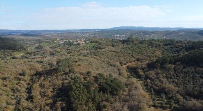 Terreno em Chãos de 5 380 m²