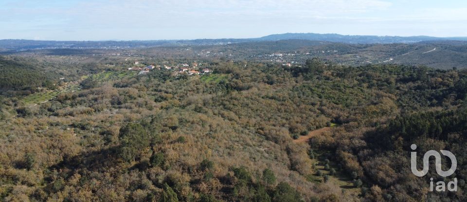 Terreno em Chãos de 5 380 m²