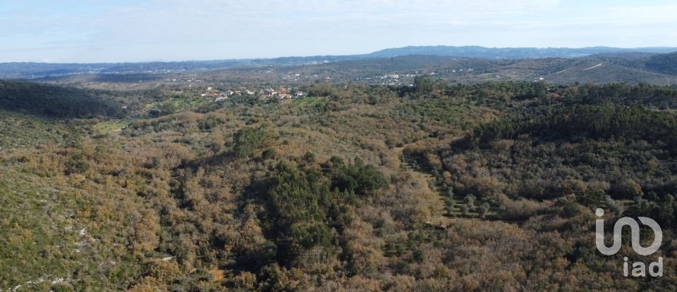 Terreno em Chãos de 5 380 m²