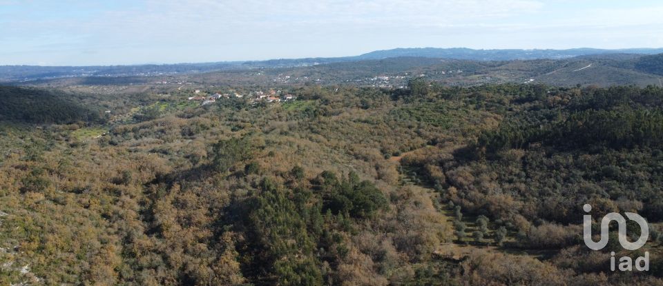 Terreno em Chãos de 5 380 m²