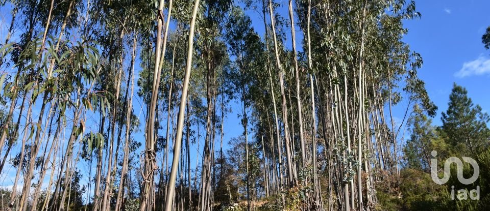 Terreno em Chãos de 5 380 m²