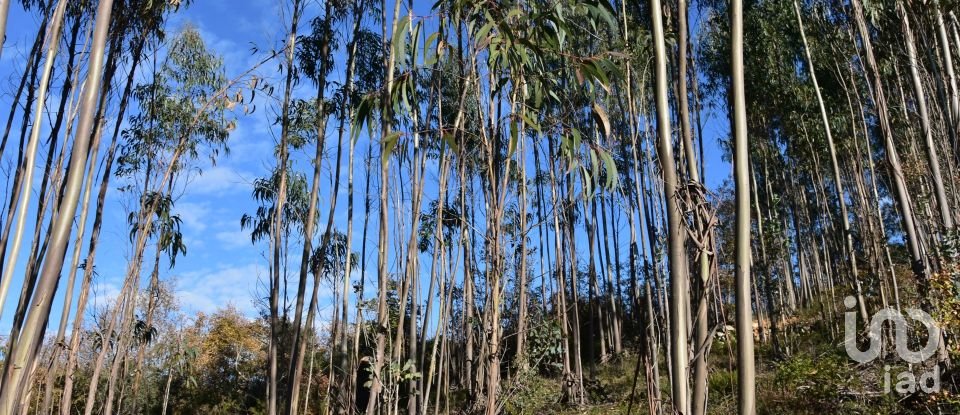 Terreno em Chãos de 5 380 m²