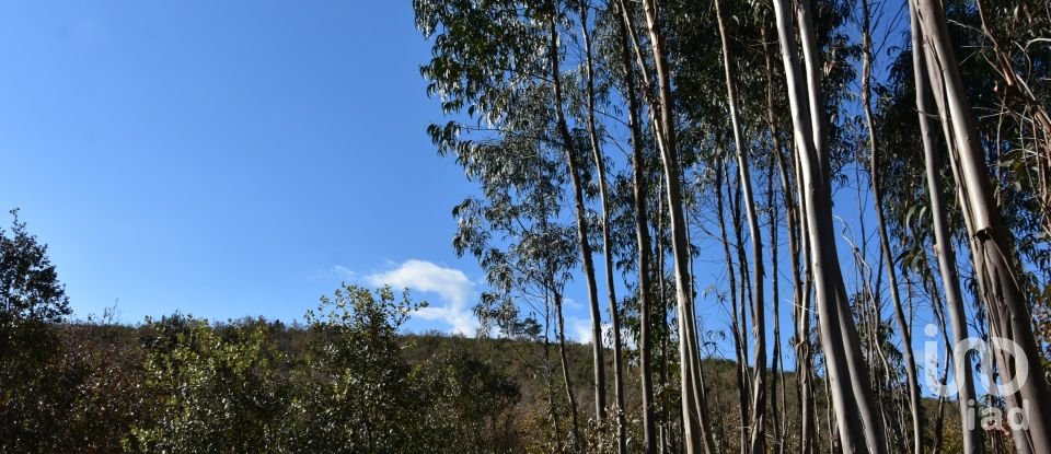 Terreno em Chãos de 5 380 m²