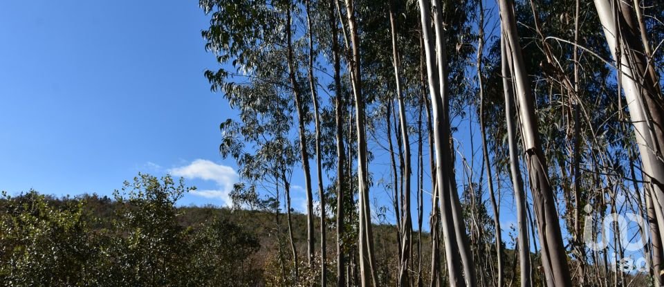 Terreno em Chãos de 5 380 m²