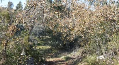 Terreno em Chãos de 8 920 m²