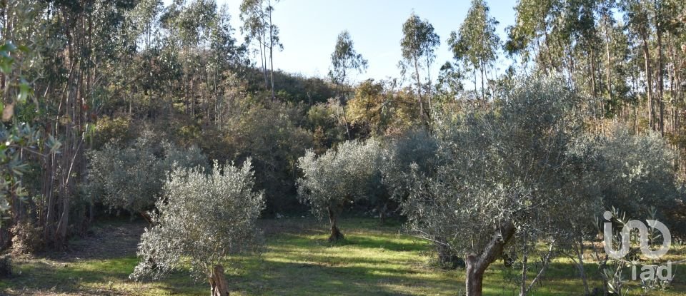 Terreno em Chãos de 8 920 m²