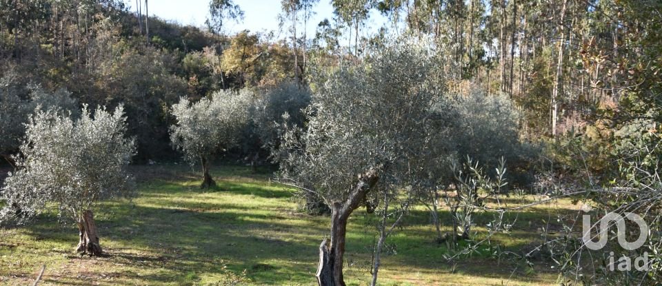 Terreno em Chãos de 8 920 m²