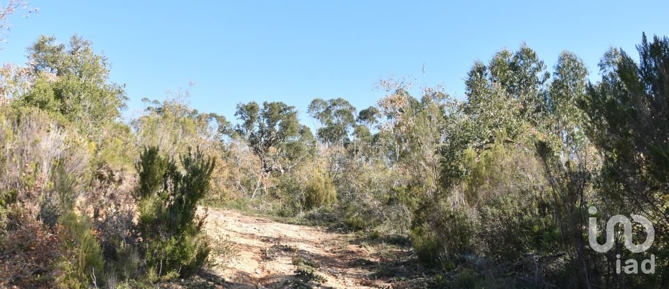 Terreno em Chãos de 8 920 m²