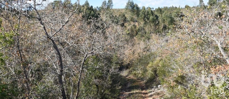 Terreno em Chãos de 8 920 m²