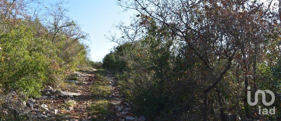 Terreno em Chãos de 8 920 m²