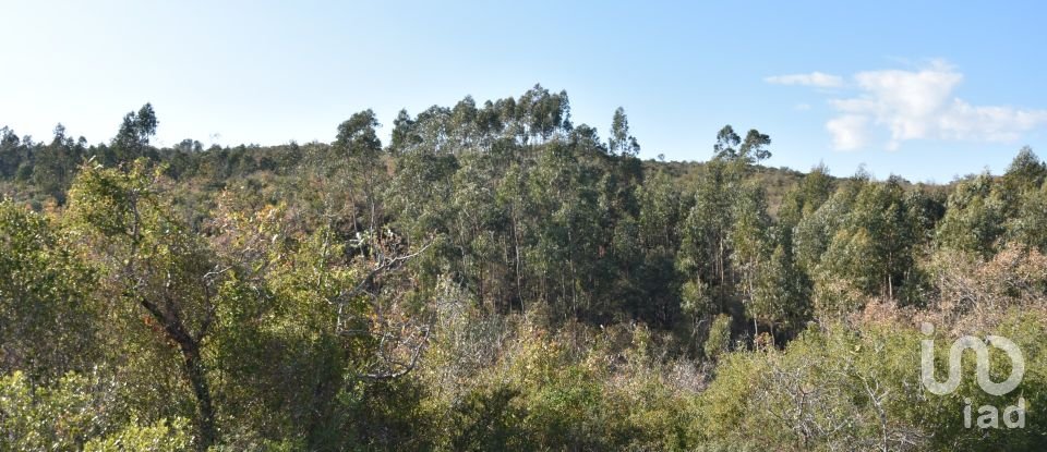 Terreno em Chãos de 8 920 m²