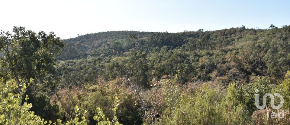 Terreno em Chãos de 8 920 m²