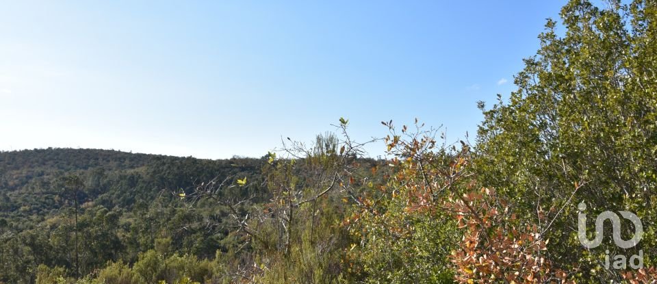 Terreno em Chãos de 8 920 m²