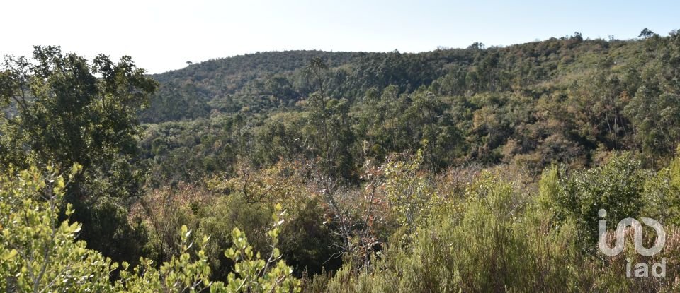 Terreno em Chãos de 8 920 m²