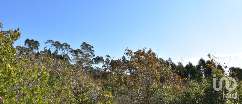 Terreno em Chãos de 8 920 m²