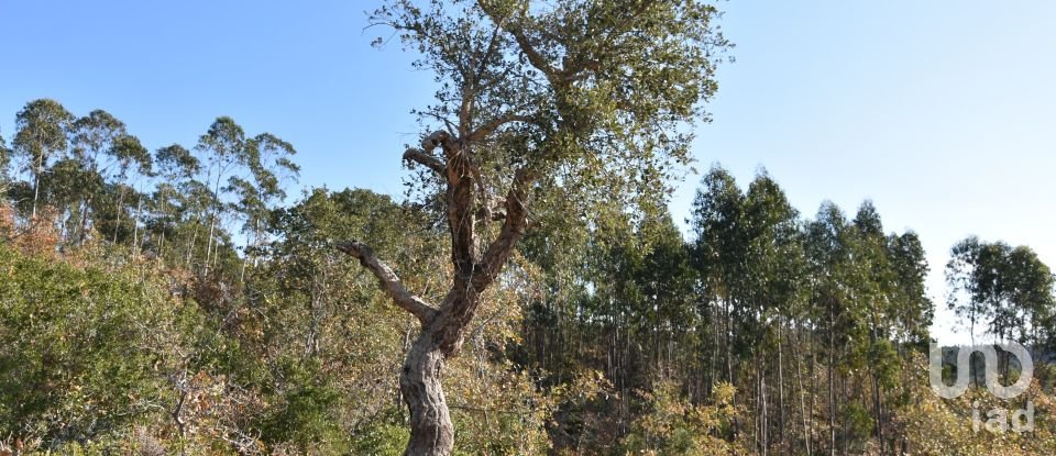 Terreno em Chãos de 8 920 m²