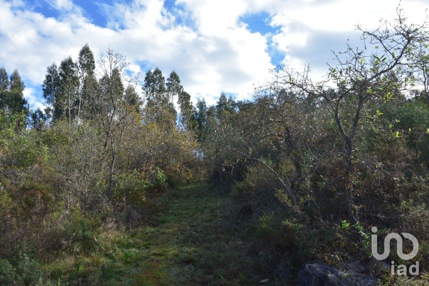 Terreno em Chãos de 6 760 m²