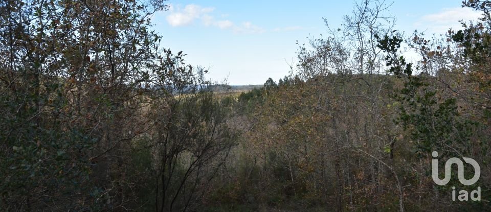 Terreno em Chãos de 6 760 m²