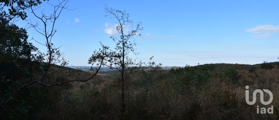 Terreno em Chãos de 6 760 m²