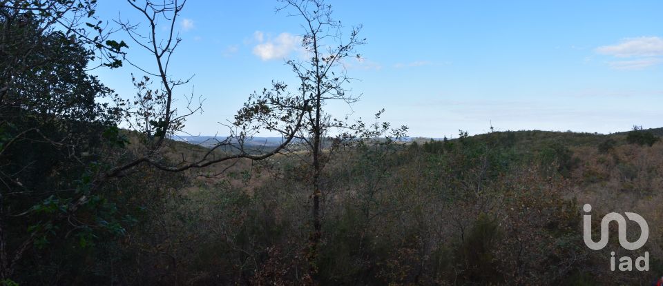 Terreno em Chãos de 6 760 m²