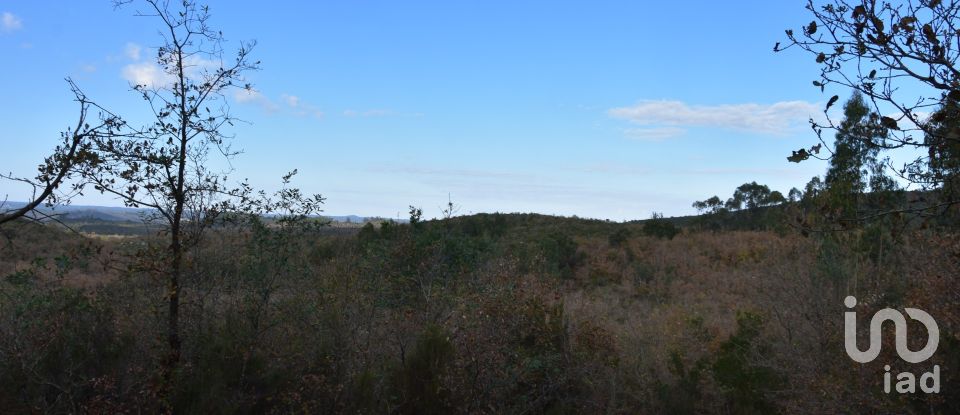 Terreno em Chãos de 6 760 m²