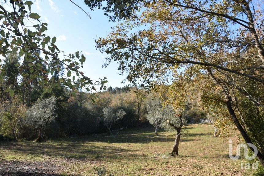 Terreno em Chãos de 1 600 m²