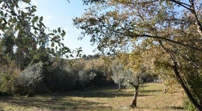 Terreno em Chãos de 1 600 m²