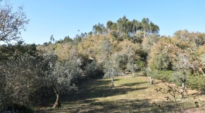 Terreno em Chãos de 1 600 m²