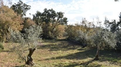 Terreno em Chãos de 1 600 m²