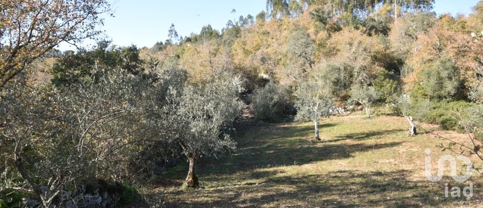 Terreno em Chãos de 1 600 m²