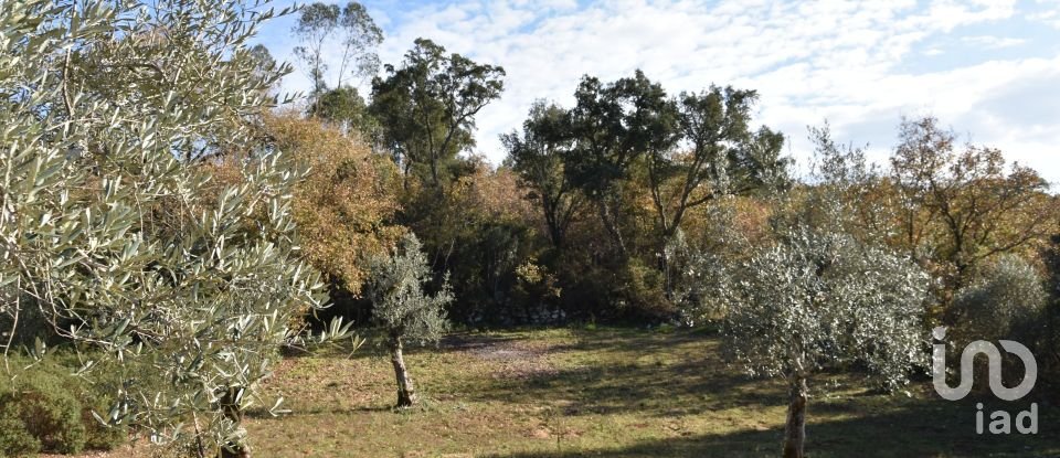 Terreno em Chãos de 1 600 m²