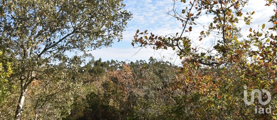 Terreno em Chãos de 1 600 m²