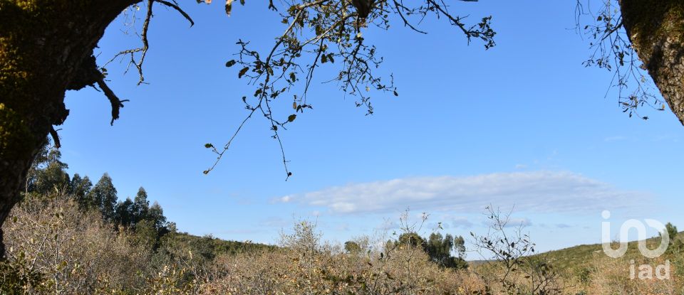 Terreno em Chãos de 1 600 m²