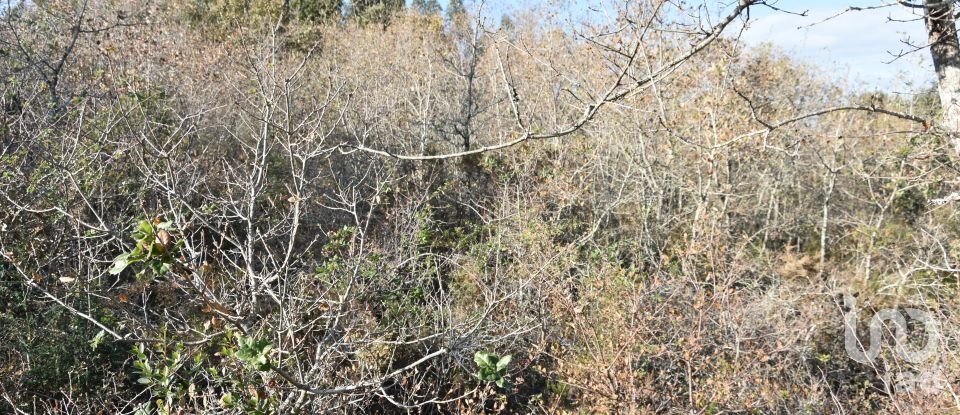 Terreno em Chãos de 1 600 m²