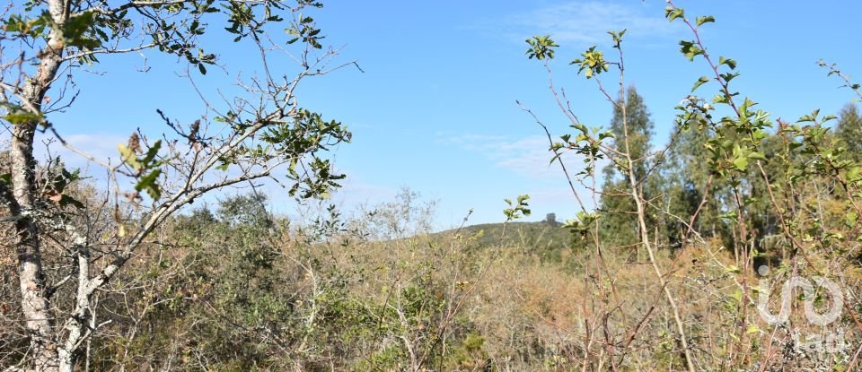 Terreno em Chãos de 1 600 m²